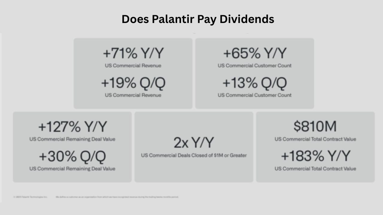 Does Palantir Pay Dividends