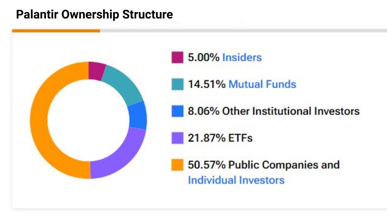 Who Owns Palantir